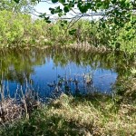 Middle Spring in SW KS, First Reliable Water for 60mi