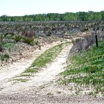 Local road using part of The Old Santa Fe Trail, mid-Spring
