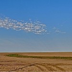 Typical scenery in west Kansas with existing ruts